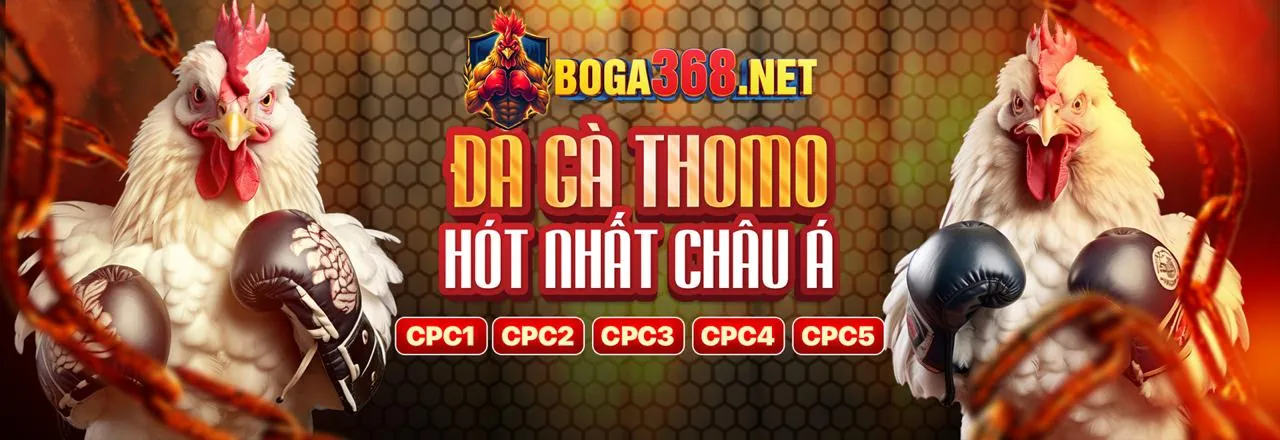 Đá gà trực tuyến Vz99 hiện đang mở