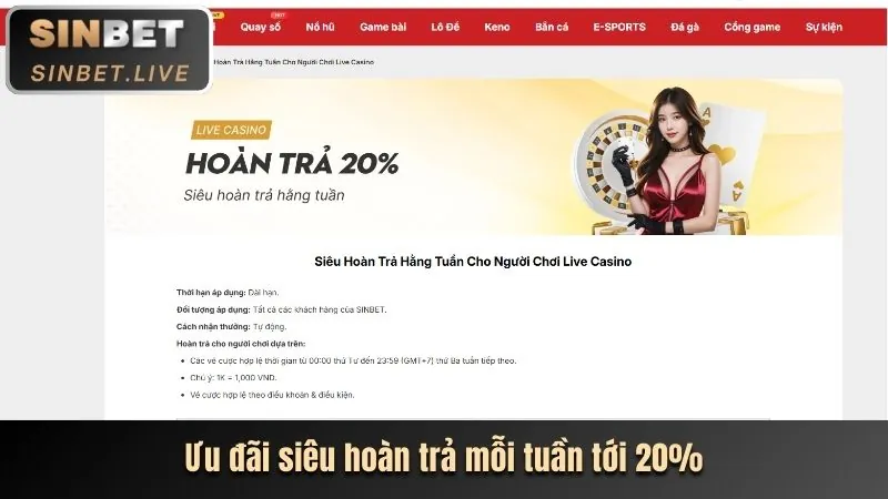 Chương trình VIP và các lợi ích độc quyền tại vz99 hiện đang mở